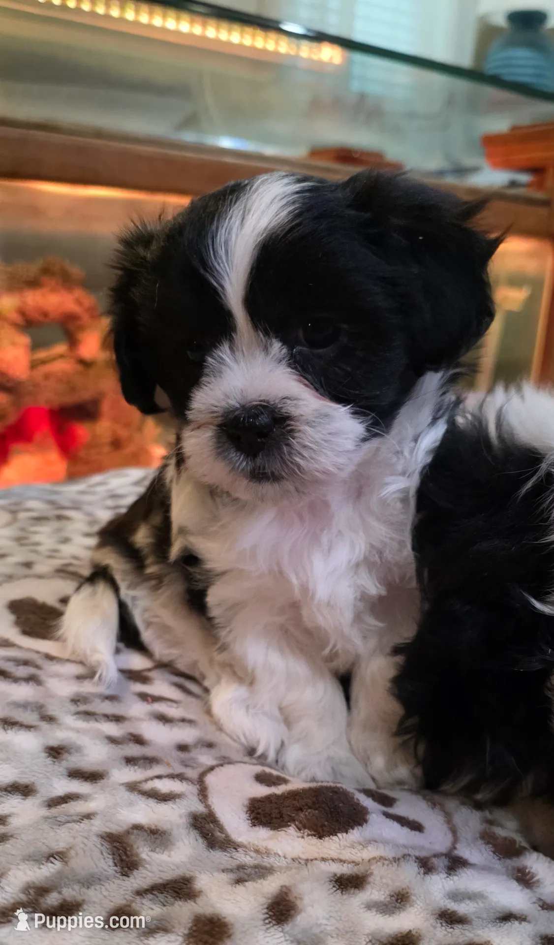 processed/1b345ae2-31e4-4244-a9ca-06cd0a036aed/listing/1734e21e-960e-4328-894b-ff77fab8766c/37d94d92-aaf6-4733-bf96-1370663b4bbb