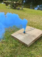 Shichon Teddy Bear DUE, a  Shichon for sale in Chesapeake, VA – Photo 6 of 8