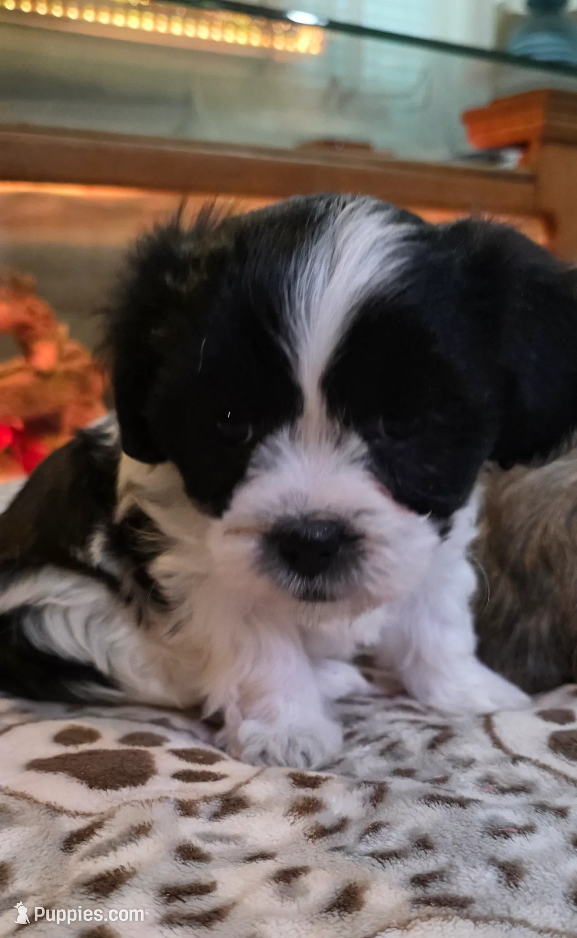 processed/1b345ae2-31e4-4244-a9ca-06cd0a036aed/listing/1734e21e-960e-4328-894b-ff77fab8766c/530fffdd-0b53-4182-b4cf-26712f6045bf