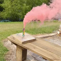 Shichon Teddy Bear DUE, a  Shichon for sale in Chesapeake, VA – Photo 7 of 8