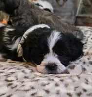 processed/1b345ae2-31e4-4244-a9ca-06cd0a036aed/listing/1734e21e-960e-4328-894b-ff77fab8766c/beda0fe9-443f-4f8d-a040-55cf5d40d126