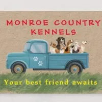 Shichon Teddy Bear DUE, a  Shichon for sale in Chesapeake, VA – Photo 2 of 8