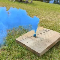 AKC Golden DUE, a  Golden Retriever for sale in Chesapeake, VA – Photo 7 of 7