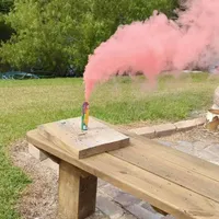 AKC Golden DUE, a  Golden Retriever for sale in Chesapeake, VA – Photo 5 of 7