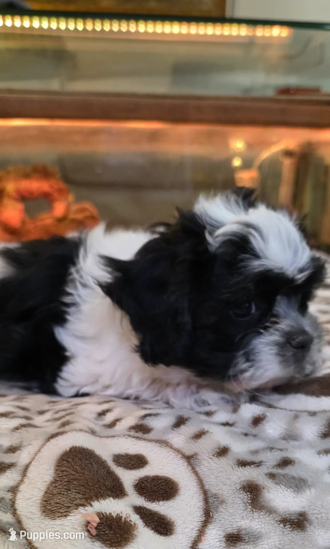 processed/1b345ae2-31e4-4244-a9ca-06cd0a036aed/listing/5944015b-096e-4d78-bdd2-6679d427c060/4abd6138-f227-4847-8575-8c1b77a0d1ab