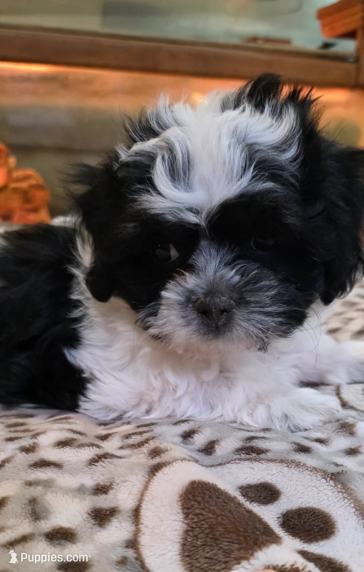 processed/1b345ae2-31e4-4244-a9ca-06cd0a036aed/listing/5944015b-096e-4d78-bdd2-6679d427c060/554ec85f-64db-4f0b-a4c2-d7fa8f6790f3