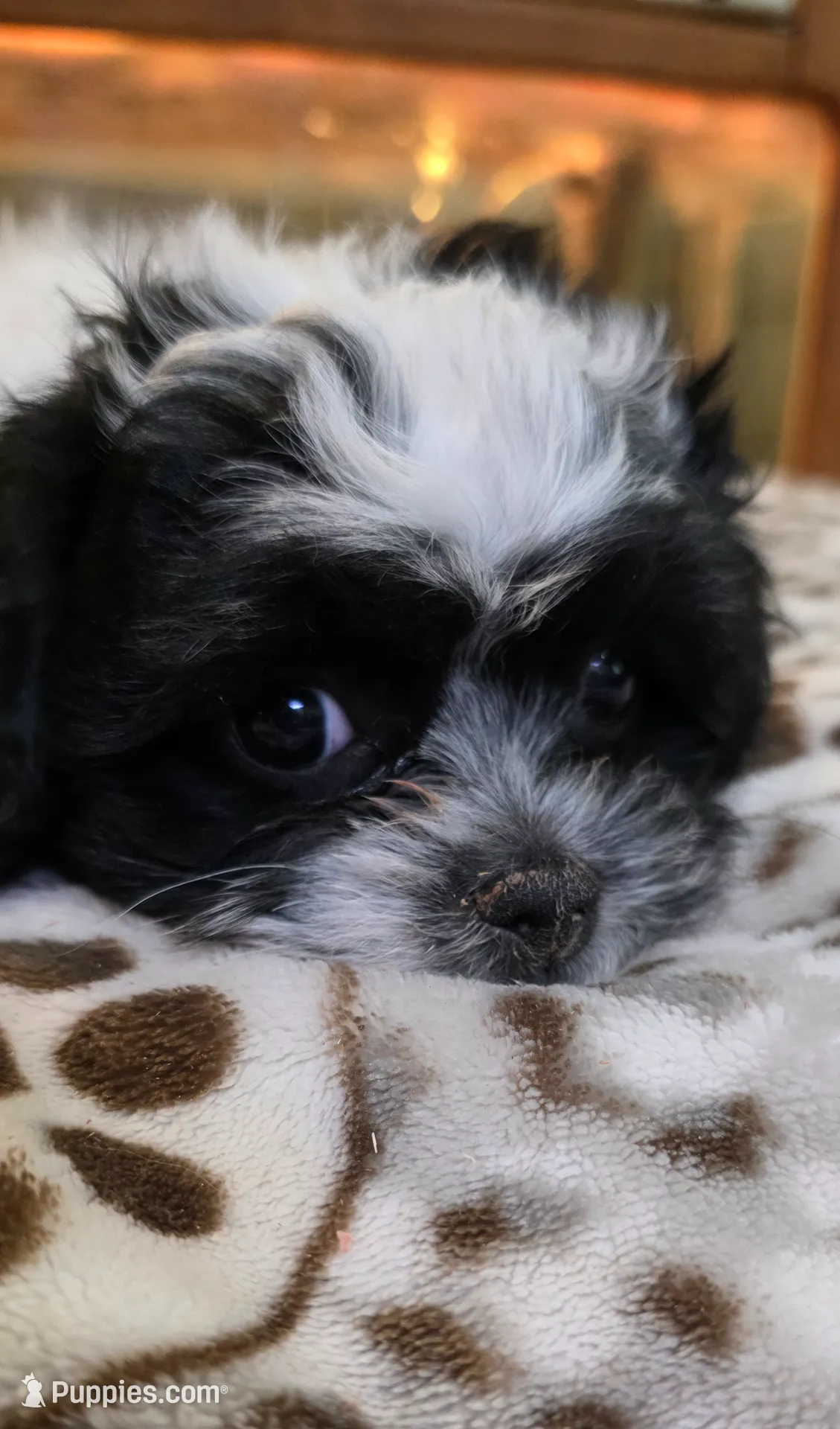 processed/1b345ae2-31e4-4244-a9ca-06cd0a036aed/listing/5944015b-096e-4d78-bdd2-6679d427c060/6f4cd8d7-70c0-4d4d-8808-e4feba565d73