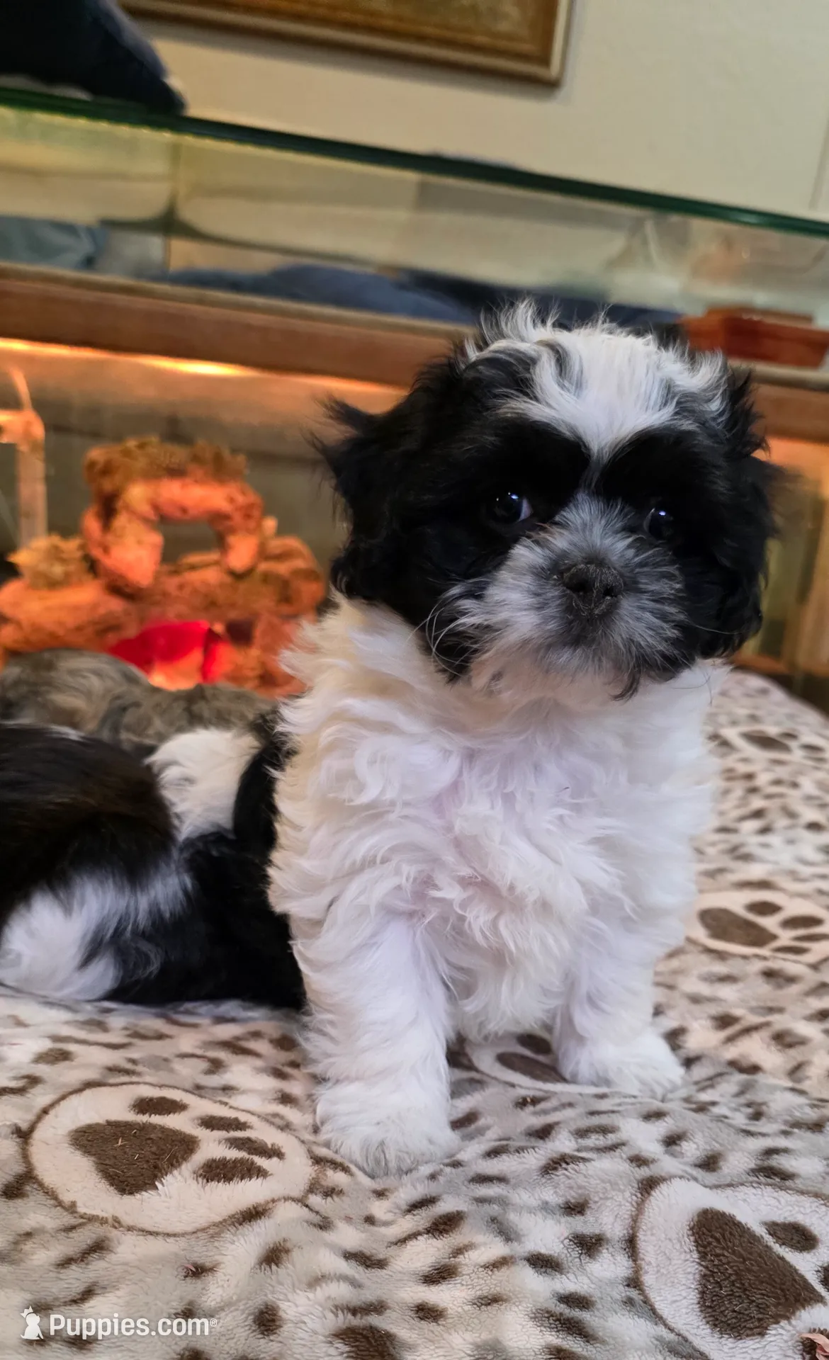 processed/1b345ae2-31e4-4244-a9ca-06cd0a036aed/listing/5944015b-096e-4d78-bdd2-6679d427c060/bc602d0f-962e-461a-ac67-e54d8528c355