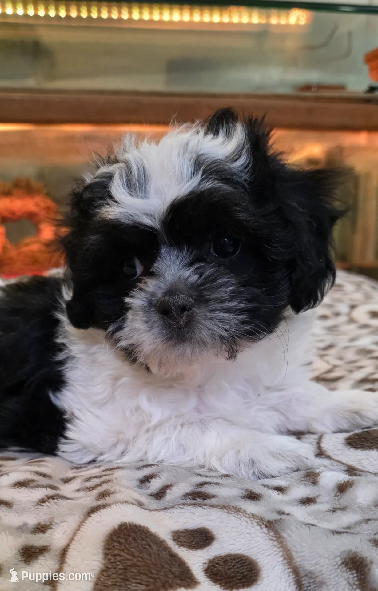 processed/1b345ae2-31e4-4244-a9ca-06cd0a036aed/listing/5944015b-096e-4d78-bdd2-6679d427c060/cc46d8e7-52ca-48a4-834b-e2b583c81e72