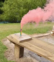 AKC Golden  Gwen, a female Golden Retriever for sale in Chesapeake, VA – Photo 6 of 8