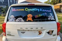 AKC Golden- Summer, a female Golden Retriever for sale in Chesapeake, VA – Photo 9 of 9