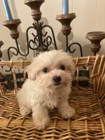 processed/1b376c8a-4bf8-478d-bfc6-231d700ac507/listing/9bf19321-eb2d-46e4-bd78-a61f6e2819bc/4b9bd8cc-9b3b-455f-a528-2227426946fa