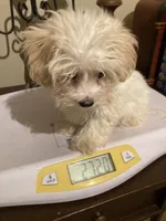 processed/1b376c8a-4bf8-478d-bfc6-231d700ac507/listing/9bf19321-eb2d-46e4-bd78-a61f6e2819bc/930487e9-e7f7-4b17-936d-2b724d486fdf