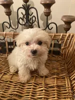 processed/1b376c8a-4bf8-478d-bfc6-231d700ac507/listing/9bf19321-eb2d-46e4-bd78-a61f6e2819bc/e2bb1f24-bce3-4acd-b5bd-48e986cd811b