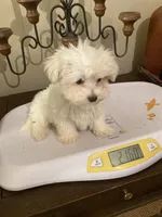 processed/1b376c8a-4bf8-478d-bfc6-231d700ac507/listing/f1d2c671-6b2f-4911-95ac-c4a22e3e27e4/3b827575-8ed3-490c-a976-45c91c2487db