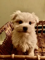 processed/1b376c8a-4bf8-478d-bfc6-231d700ac507/listing/f1d2c671-6b2f-4911-95ac-c4a22e3e27e4/8f79b296-dc7a-4dce-8350-d13eaa9ed445