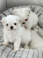 processed/1b39ffac-9e40-421f-bf01-934786369668/facility/07601b39-3b76-4fd0-a64a-73a1b70fc923