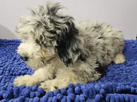 processed/1b3ef7e1-1a45-45e3-8976-127516f57011/listing/2a836bfd-6a3c-425b-8631-4278cb78aa9d/d3a79130-f387-4ed4-8a68-623304973f1a