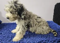 processed/1b3ef7e1-1a45-45e3-8976-127516f57011/listing/2a836bfd-6a3c-425b-8631-4278cb78aa9d/e5e36411-eb96-434a-b771-80fd0197b4b8