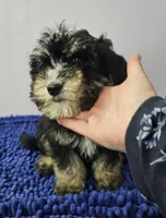 processed/1b3ef7e1-1a45-45e3-8976-127516f57011/listing/74b6984e-b0eb-4d12-b12e-4bcabc8f9d49/9bf92d8d-bb94-4110-8283-ddffccdeede0