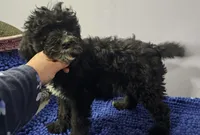 processed/1b3ef7e1-1a45-45e3-8976-127516f57011/listing/9c95aecd-b7af-4266-bbc0-860953f94eb4/63ca7485-7c22-4df5-939d-48cba0c61d30