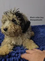 processed/1b3ef7e1-1a45-45e3-8976-127516f57011/listing/e7dc117d-f51c-46bd-960d-5f18b4b1d690/80927beb-d757-4090-8517-f5bed2c9b171