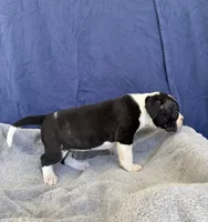 processed/1b40e306-431c-4ca5-8976-6b002ed76279/listing/05d3681f-415e-4865-b54c-4acbec0d3b7a/2b5cbb5b-aa25-48db-8623-5eb77c3745b6