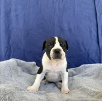 processed/1b40e306-431c-4ca5-8976-6b002ed76279/listing/05d3681f-415e-4865-b54c-4acbec0d3b7a/2e7549b9-b615-4649-8a0a-580f72964a28