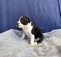 processed/1b40e306-431c-4ca5-8976-6b002ed76279/listing/05d3681f-415e-4865-b54c-4acbec0d3b7a/c2f78dd4-7f3a-4d56-bb20-b6c8bb77aaa4