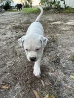 processed/1b40e306-431c-4ca5-8976-6b002ed76279/listing/6961cec9-be7c-4a6b-bddf-01b48316a016/02054047-d960-40e5-8f6f-c010873456f4