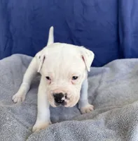 processed/1b40e306-431c-4ca5-8976-6b002ed76279/listing/6961cec9-be7c-4a6b-bddf-01b48316a016/04f47327-cfae-48b4-95af-29c744e4da1e