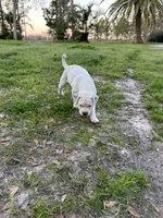 processed/1b40e306-431c-4ca5-8976-6b002ed76279/listing/6961cec9-be7c-4a6b-bddf-01b48316a016/97543539-7c13-4cd8-a2b9-14989d4ccb53