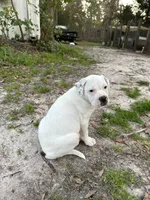 processed/1b40e306-431c-4ca5-8976-6b002ed76279/listing/6961cec9-be7c-4a6b-bddf-01b48316a016/cd2bc369-00f9-4ff9-add3-257607069c90