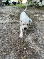 processed/1b40e306-431c-4ca5-8976-6b002ed76279/listing/6961cec9-be7c-4a6b-bddf-01b48316a016/f503228e-3bbd-4274-9b45-9e3a16eac52c