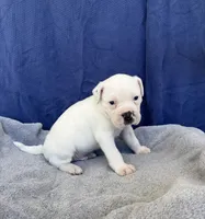 processed/1b40e306-431c-4ca5-8976-6b002ed76279/listing/6961cec9-be7c-4a6b-bddf-01b48316a016/f966f5e9-92f0-4e09-8a10-9fd0c29b45ef