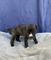 processed/1b40e306-431c-4ca5-8976-6b002ed76279/listing/bb1cac84-5d7f-4239-849c-83142543ec8f/31d9f1da-7d5b-41f5-8822-ebcea478a76c