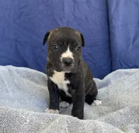 processed/1b40e306-431c-4ca5-8976-6b002ed76279/listing/bb1cac84-5d7f-4239-849c-83142543ec8f/48869aee-facc-4af8-9757-e573affbe454