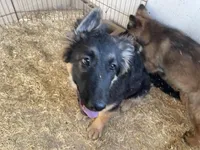 processed/1b550612-0a98-4b1d-bdf4-10d8df86c607/listing/3616c833-71d8-4e7d-b7b2-3d3bdd8160ab/8d16d907-a876-41ce-8685-6a3604cd91ea