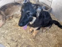 processed/1b550612-0a98-4b1d-bdf4-10d8df86c607/listing/3616c833-71d8-4e7d-b7b2-3d3bdd8160ab/cee2c720-6b1d-4fcd-b1ac-255dab0ac1f3