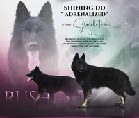 processed/1b550612-0a98-4b1d-bdf4-10d8df86c607/listing/3616c833-71d8-4e7d-b7b2-3d3bdd8160ab/f89ca9e9-1692-4318-bd95-d671df4a8df5