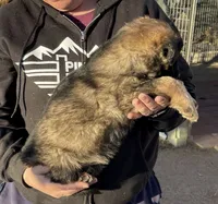 processed/1b550612-0a98-4b1d-bdf4-10d8df86c607/listing/beaef5b3-7911-4630-9e23-7a50f8b1f216/33ce8ad1-80ec-446e-8d90-e2e056d7e761