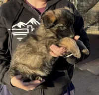 processed/1b550612-0a98-4b1d-bdf4-10d8df86c607/listing/beaef5b3-7911-4630-9e23-7a50f8b1f216/42178bde-2420-4a75-9bf8-46febbc319d9