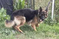 processed/1b550612-0a98-4b1d-bdf4-10d8df86c607/listing/beaef5b3-7911-4630-9e23-7a50f8b1f216/4394d1de-f8f3-4fa8-905b-6a600660c234