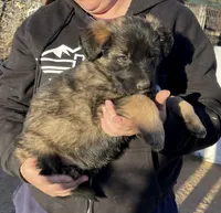 processed/1b550612-0a98-4b1d-bdf4-10d8df86c607/listing/beaef5b3-7911-4630-9e23-7a50f8b1f216/e3517441-ead9-4ee0-9041-14e866c9f2fa