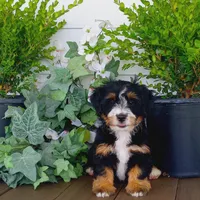 processed/1b58dba6-b85c-4cfb-aaf2-cd0da5340b7a/facility/5556bade-9acb-4e32-9213-b316c0b77689