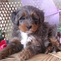 processed/1b58dba6-b85c-4cfb-aaf2-cd0da5340b7a/facility/5bb3db33-f698-4aec-951b-067e6376d720