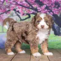 processed/1b58dba6-b85c-4cfb-aaf2-cd0da5340b7a/facility/886c980a-7d98-4fa9-8378-92b5117b17bb