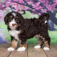 processed/1b58dba6-b85c-4cfb-aaf2-cd0da5340b7a/facility/e5403c11-b9dc-4a91-83c6-ea1114667592