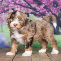 processed/1b58dba6-b85c-4cfb-aaf2-cd0da5340b7a/facility/f4c7b175-231a-4371-b887-fa025057da9d