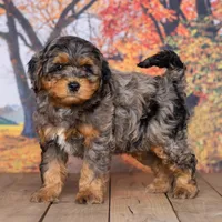 processed/1b58dba6-b85c-4cfb-aaf2-cd0da5340b7a/facility/f74c38d5-b0c2-49f0-8691-319dff03a6fb